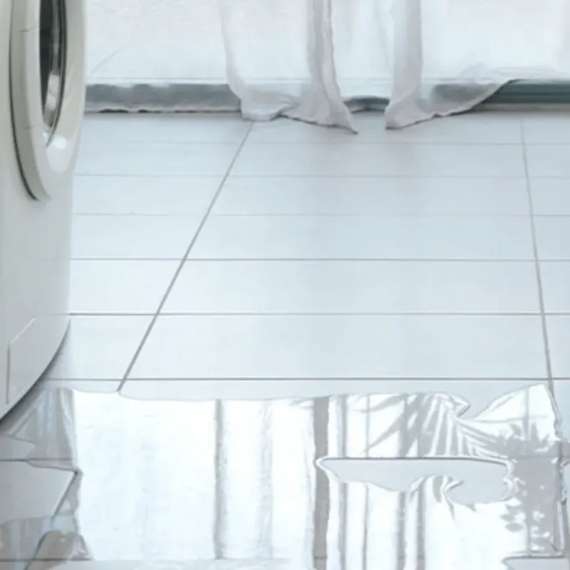 Appliance Leak Cleanup in Wells Branch, TX