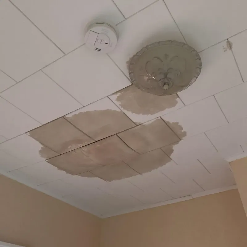 Ceiling Water Damage Repair in Wells Branch, TX